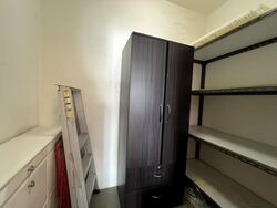 Blk 1G The Pinnacle@Duxton (Bukit Merah), HDB 4 Rooms #503288801